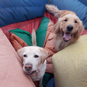 Inflable