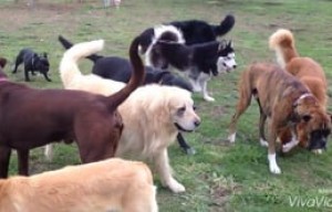 Los chiquitines disfrutan de un lindo Martes de socialización en su colegio :)