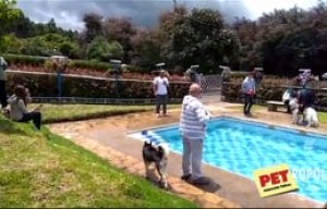 Un día compartiendo con amigos.