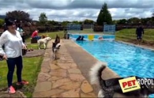 El mejor plan para hacer en familia.