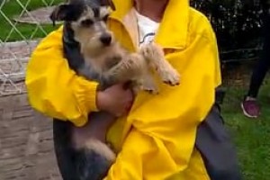 Testimonio familia de Lucky (Plan al Agua patos)