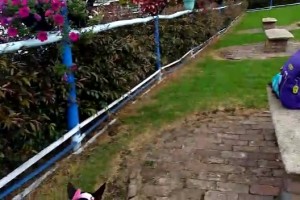 Henry y Rebeca, felices papitos de Laila