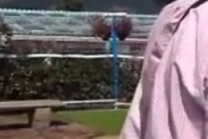 Más visitantes enamorados