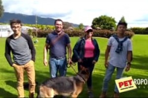 Los invitamos para que vengan y hagan deporte en la piscina les hace muy bien a los perritos