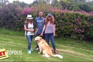 Yango compartiendo un día de piscina