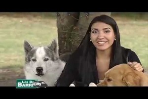 PETropolis Club, una historia de amor bien caminada