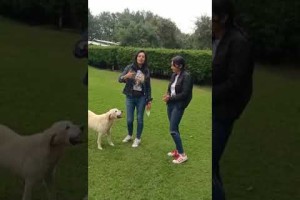 Otros papitos felices junto a su mascota